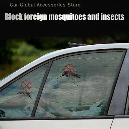 Film de Protection pour fenêtre